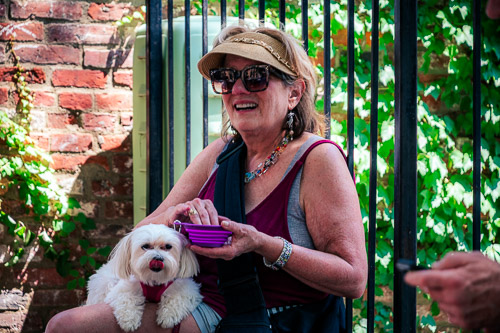 Farmers Market  |  Troy, NY - Jul 2024